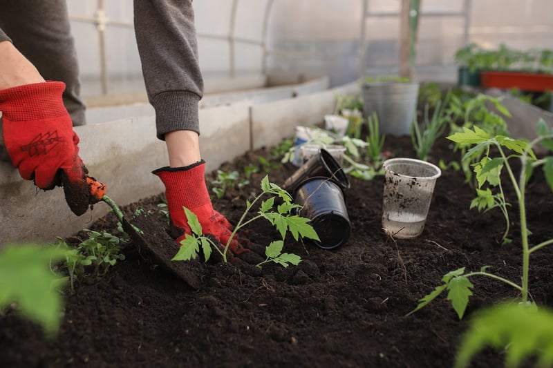 Upcycled Planters